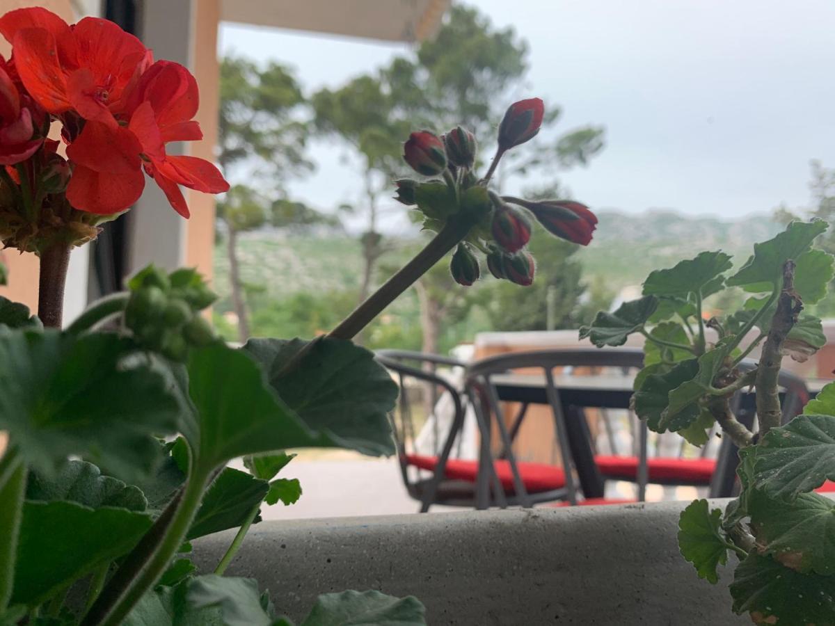 Apartmani Spomenka Селине Екстериор снимка